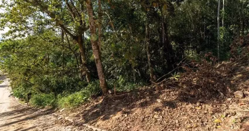 Terreno à venda na Rua Ewaldo Brueckheimer, 1, Velha, Blumenau