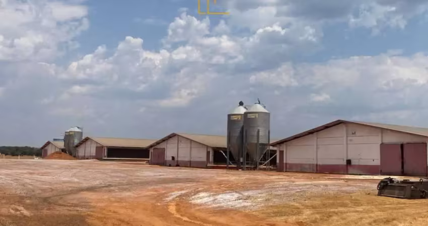 Barracão / Galpão / Depósito à venda na Avenida dos Canários, 1741, Zona Rural, Nova Mutum