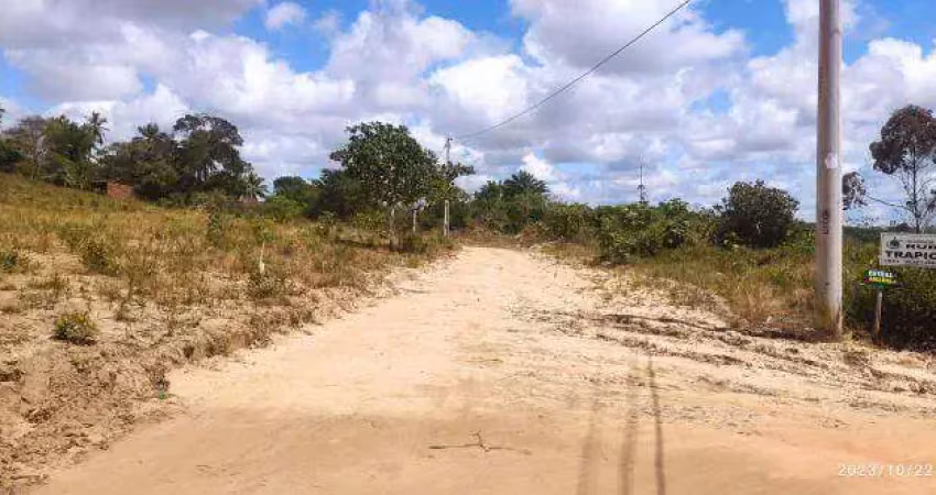Angelin terrenos na zona rural de jacuípe canto dos pássaros