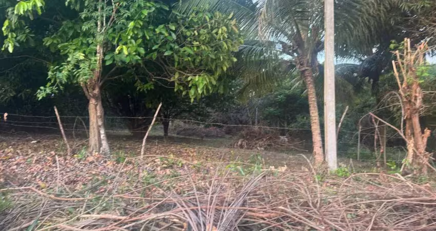 Terreno 1000 m2 rua da cascalheira recanto do sabiá camacari