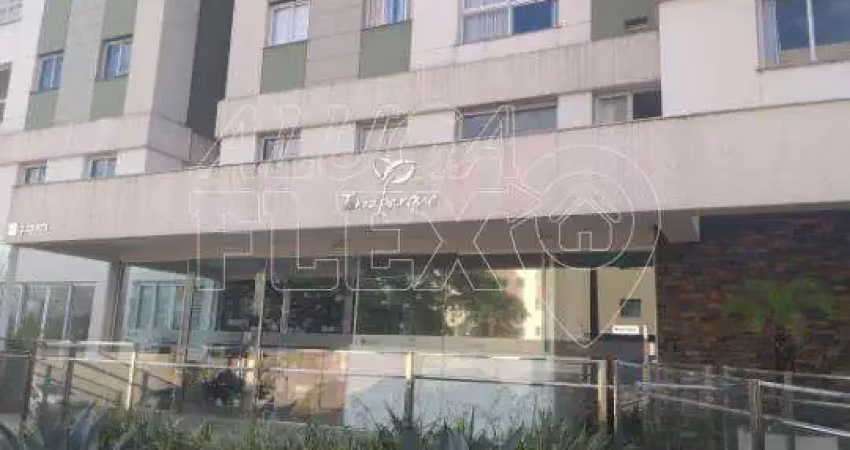 Apartamento com 3 quartos para alugar no Champagnat, Londrina 