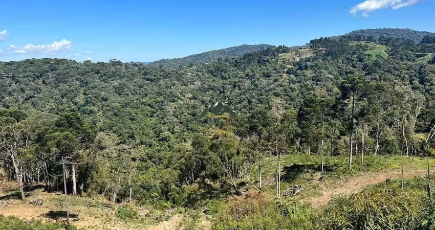 Terreno à venda no São José, Urubici 