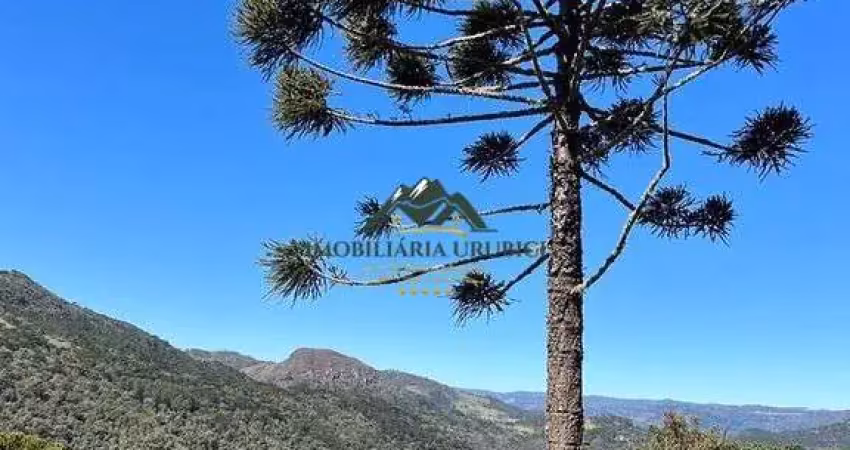 Chácara / sítio à venda na Zona Rural, Urubici 