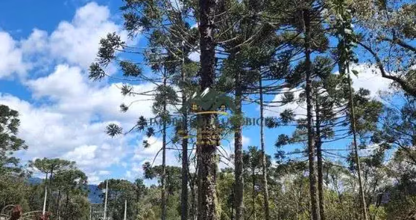 Chácara / sítio à venda no Santa Tereza, Urubici 