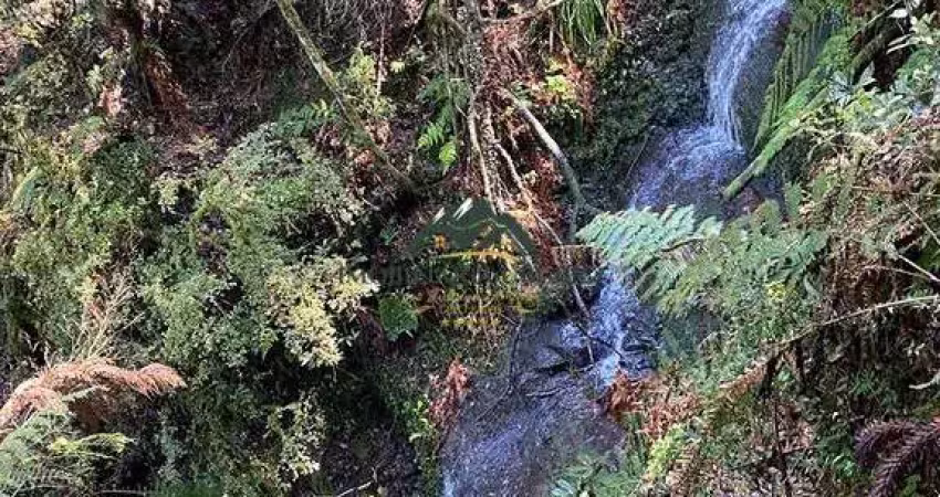 Chácara / sítio à venda na Zona Rural, Urubici 