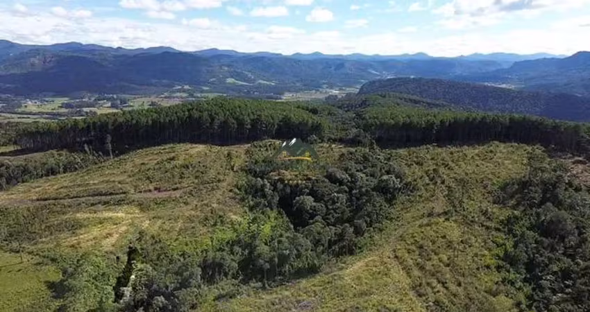 Chácara / sítio à venda na Águas Brancas, Urubici 