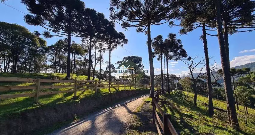 Chácara / sítio à venda no Santa Tereza, Urubici 