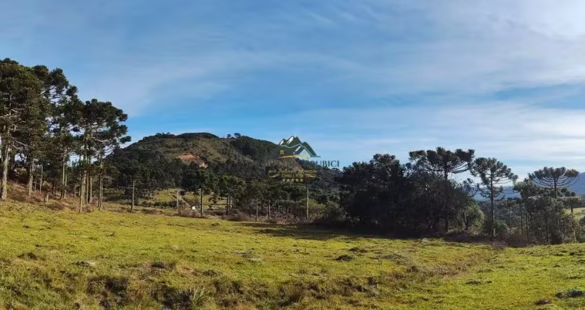 Chácara / sítio à venda no Vacas Gordas, Urubici 