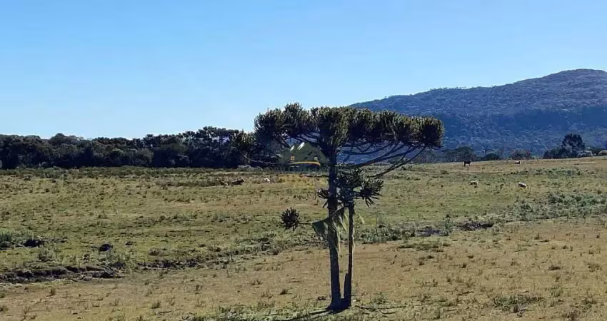 Chácara / sítio à venda na Zona Rural, Urubici 