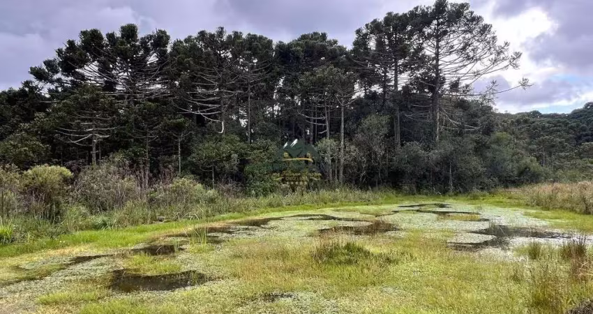 Chácara / sítio à venda na Zona Rural, Urubici 