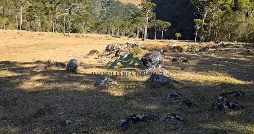 Chácara / sítio à venda na Zona Rural, Urubici 