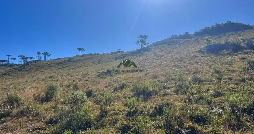Chácara / sítio à venda em Zona Rural, Bom Jardim da Serra 