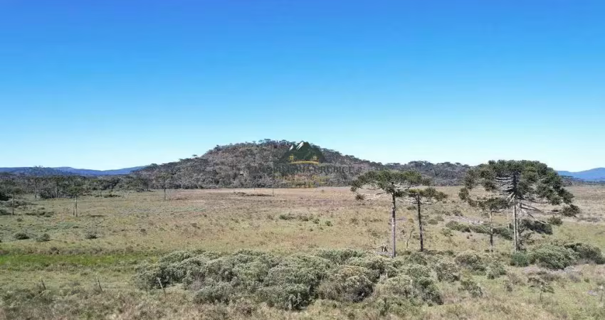 Chácara / sítio à venda no Santa Tereza, Urubici 
