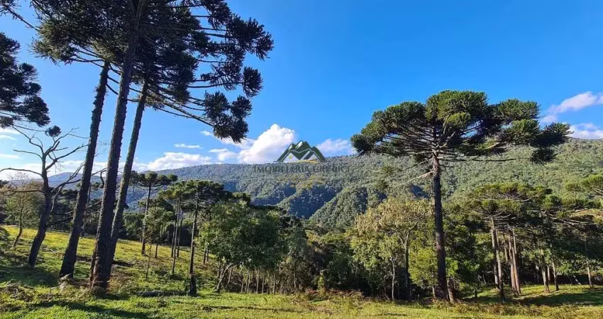 Chácara / sítio à venda no Santa Tereza, Urubici 
