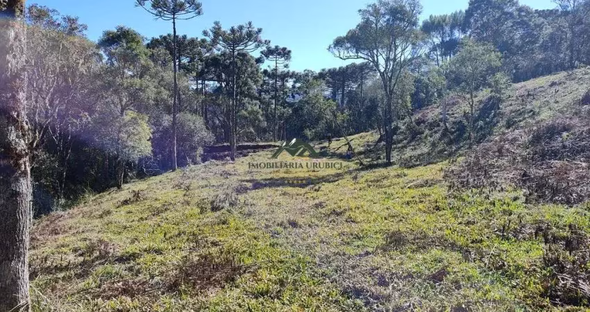 Chácara / sítio à venda no São José, Urubici 