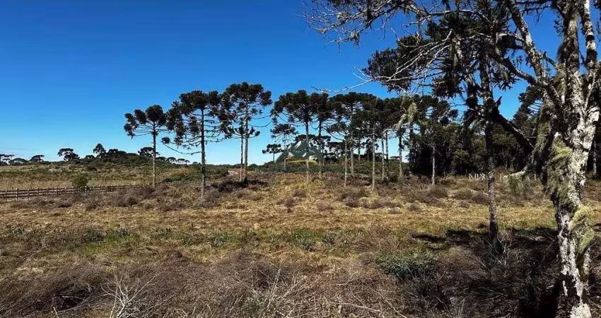 Chácara / sítio à venda no Santa Tereza, Urubici 