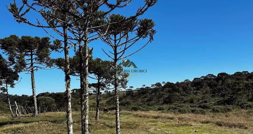 Chácara / sítio à venda no Santa Tereza, Urubici 