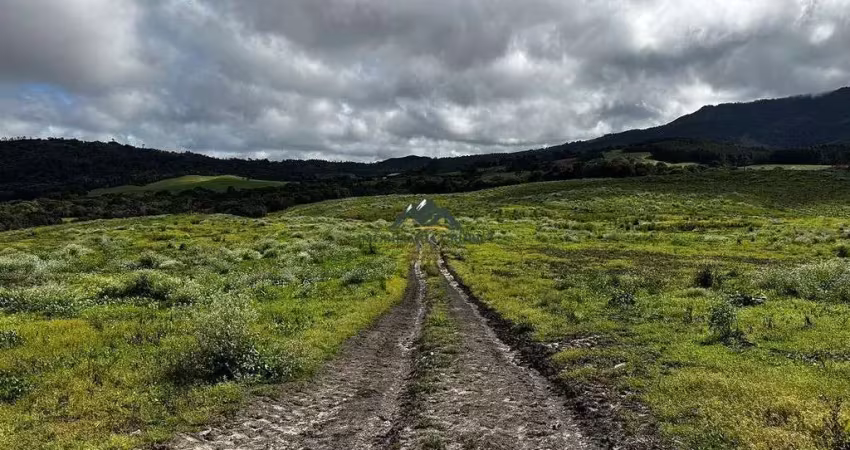 Chácara / sítio à venda na Zona Rural, Bom Retiro 