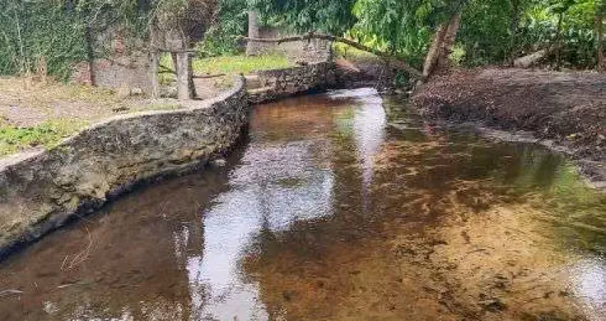 Granja com 1.5 hectares com um rio perene com piscina natural com 2 casas