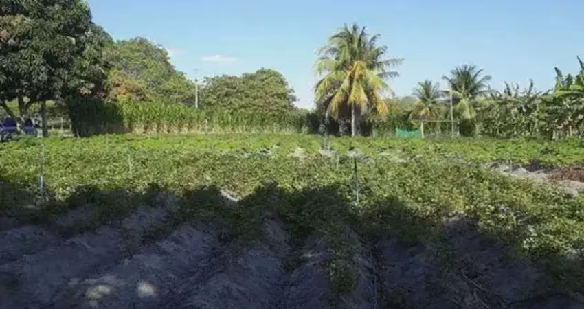 Chácara / sítio com 3 quartos à venda no Centro, Lagoa Salgada 