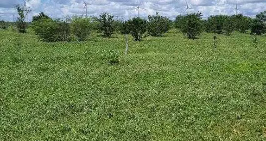 Linda fazenda com 45 hectares em jandaira com 2 poços tubulares 100% plana