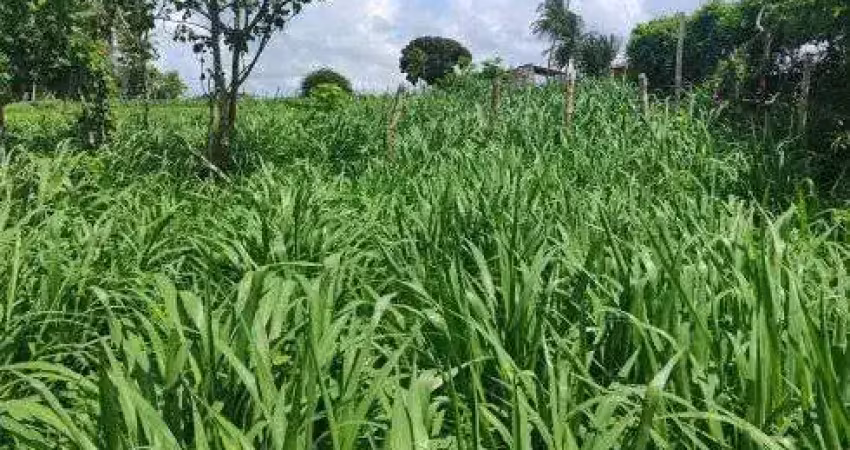 Granja com 17 hectares bem localizada entre parnamirim e monte alegre