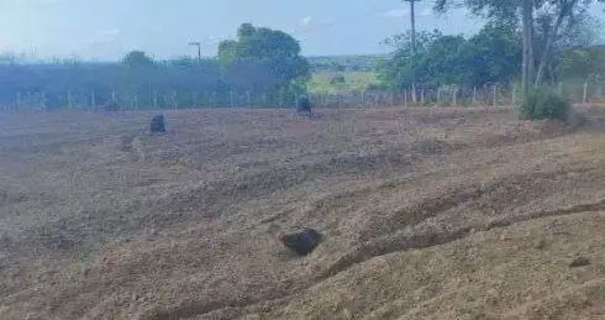 Chácara / sítio com 3 quartos à venda no Centro, Monte Alegre 
