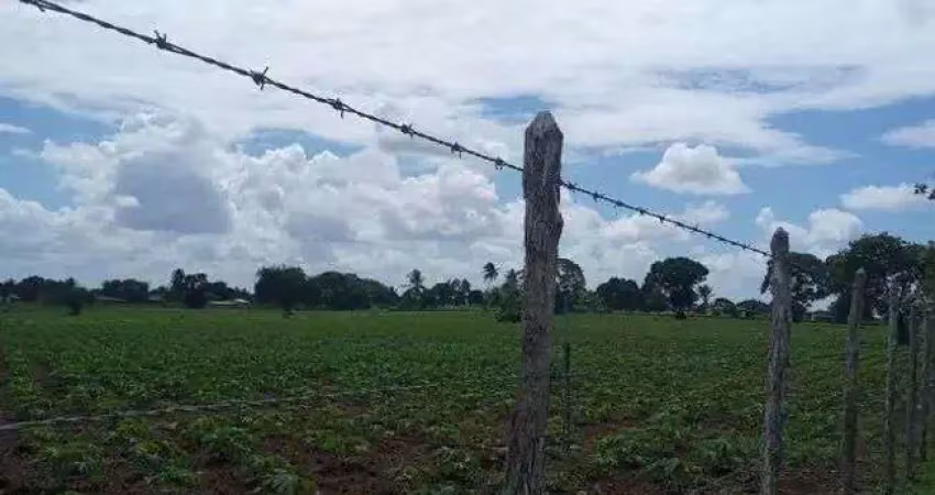 Excelente granja com 6 hectares no cobe município de vera cruz