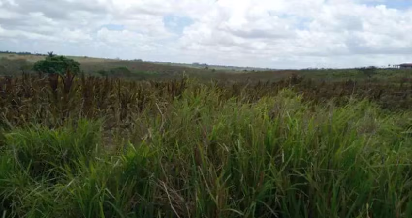 Ótima fazendinha 11.5 hc. top de luxo na região de monte alegre