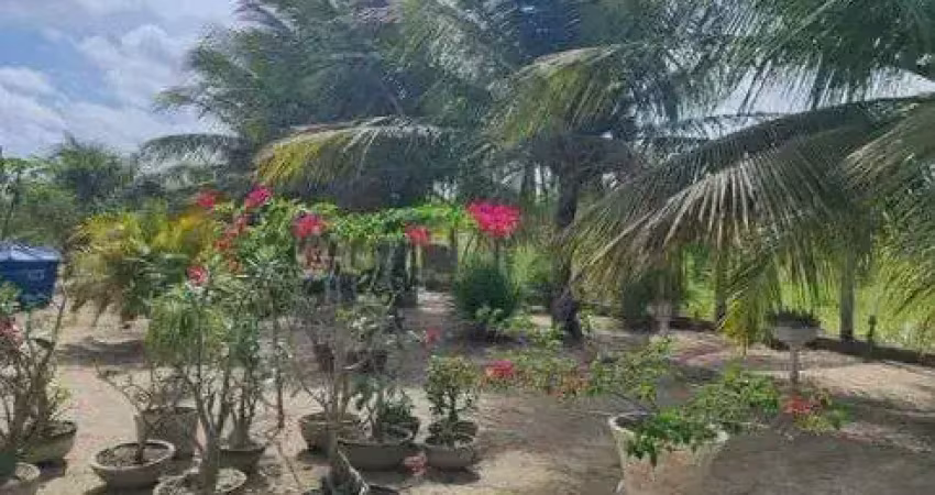 Chácara / sítio com 3 quartos à venda no Centro, Lagoa de Pedras 
