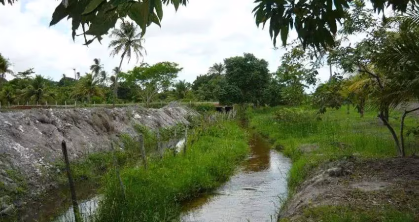 Granja com 1.5 hectares com 2 casas e rio perene esc. pública