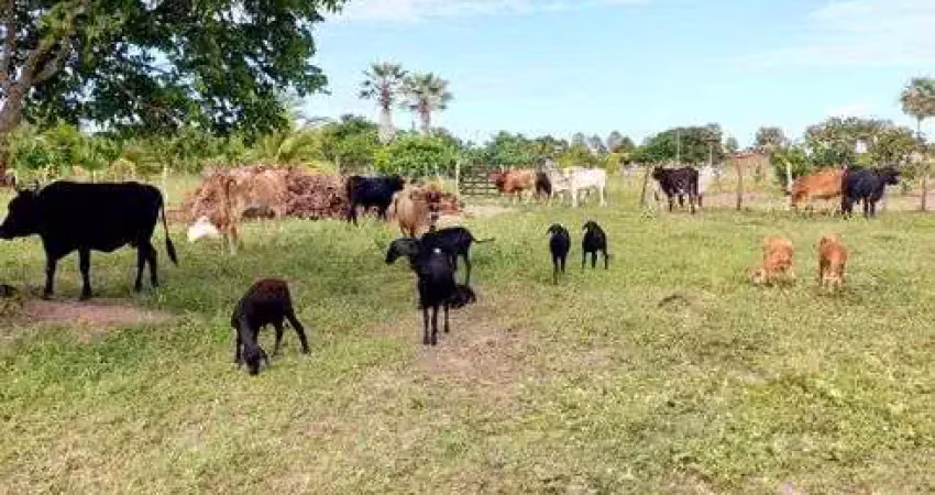 Fazenda/sítio/chácara com 12 hectares com uma casa 
