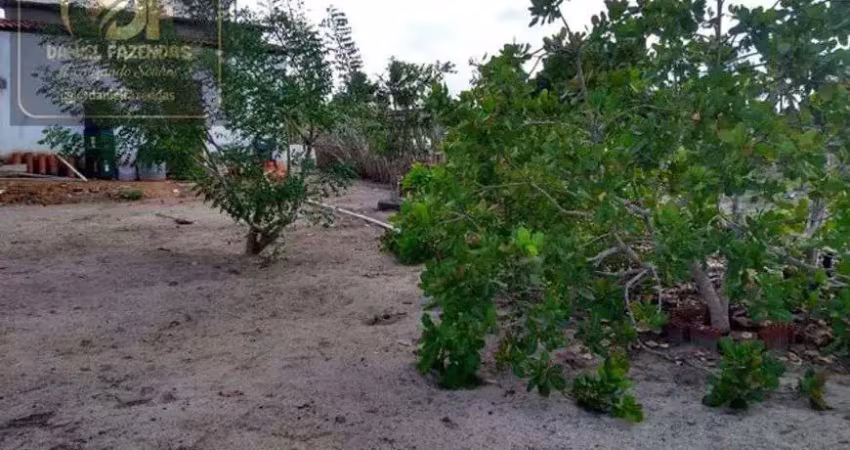Chácara / sítio com 2 quartos à venda no Centro, Vera Cruz 