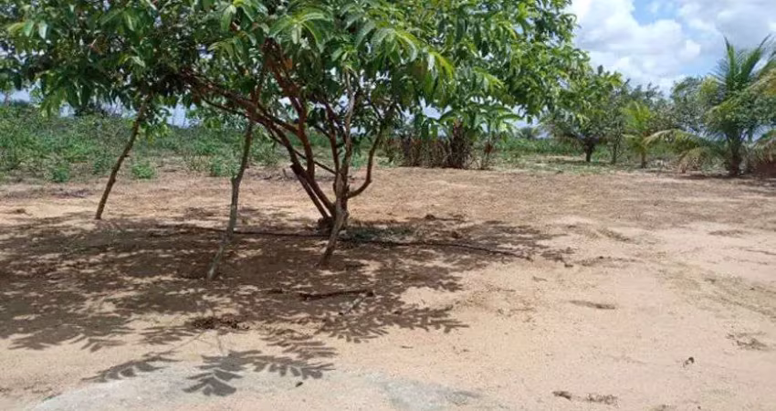 Linda granja em vera cruz com 50 por 60 lugar top para viver