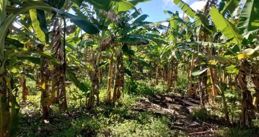 Granja com 23,7 hectares em punau terra excelente para plantação e criação