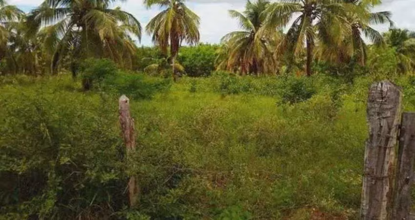 Chácara / sítio com 2 quartos à venda no Centro, Ceará-Mirim 