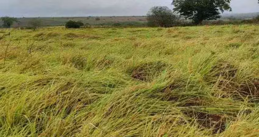 Granja com 20 hectares em comum município de monte alegre