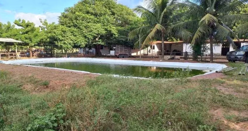 Fazenda/sítio/chácara para venda com 30 hectares com boa estrutura rica em água na região top