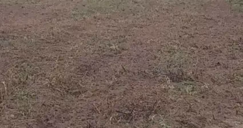 Chácara / sítio com 3 quartos à venda no Centro, Monte Alegre 