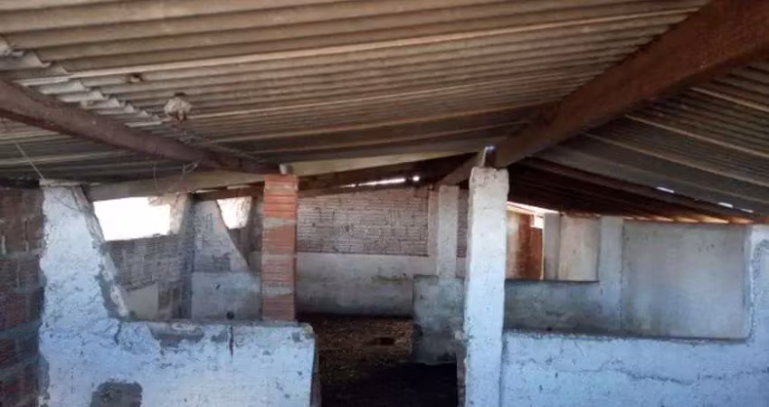 Fazenda com excelente estrutura em elói de souza 104 hectares