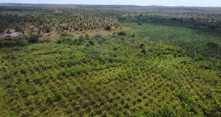 Fazenda com 379 hectares na região de rio do fogo cortada por rio perene e pela br 101