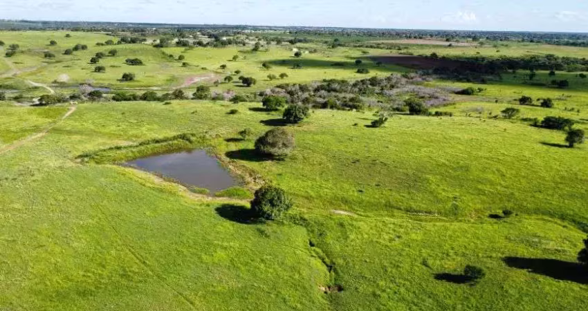 Fazenda com 410 hectares com uma estrutura encantadora 90% plantado