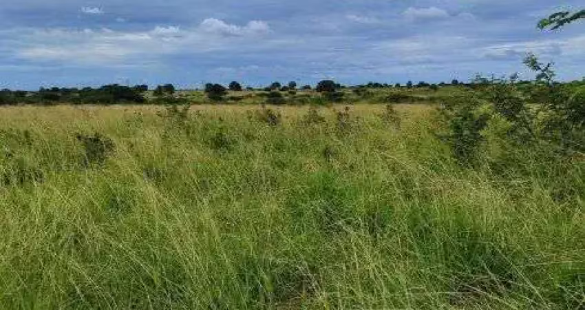 Fazenda com 270 hectares em bom jesus plantada e piquetada água top