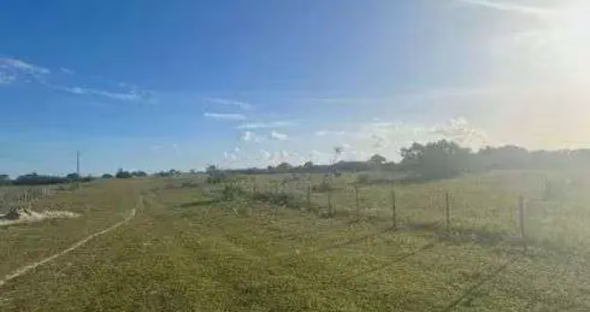 Chácara / sítio com 3 quartos à venda no Centro, Monte Alegre 