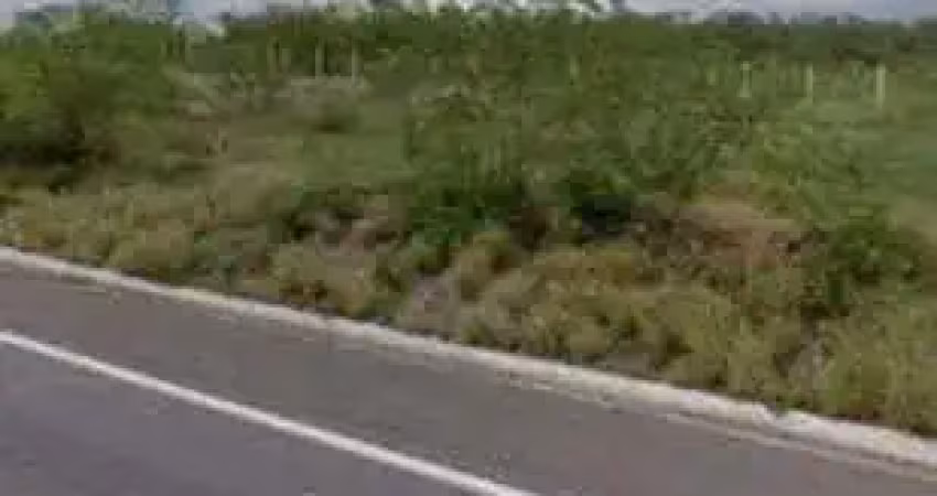 Terreno para posto de gasolina na br 304 entre angicos e assú