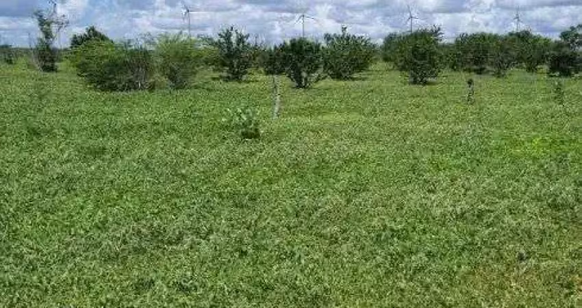 Chácara / sítio com 3 quartos à venda no Centro, Jandaíra 