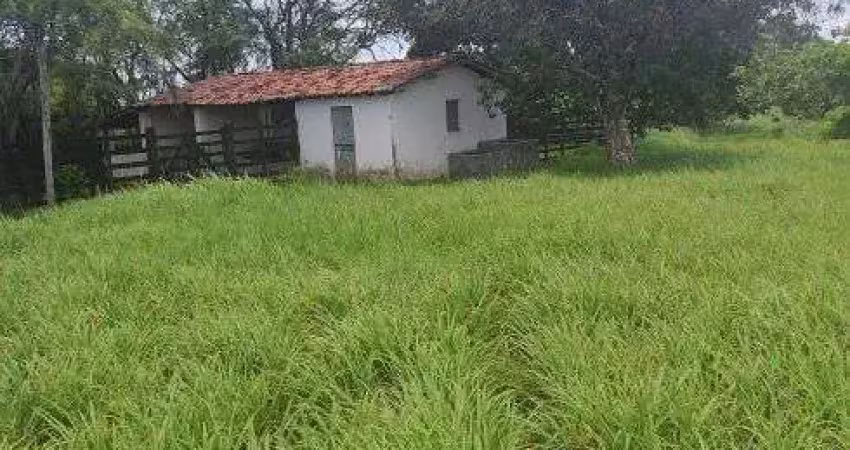 Fazenda com 40 hectares em comum município de monte alegre um luxo de fazenda