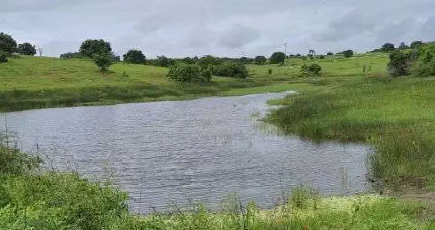 Chácara / sítio com 4 quartos à venda no Centro, Monte Alegre 