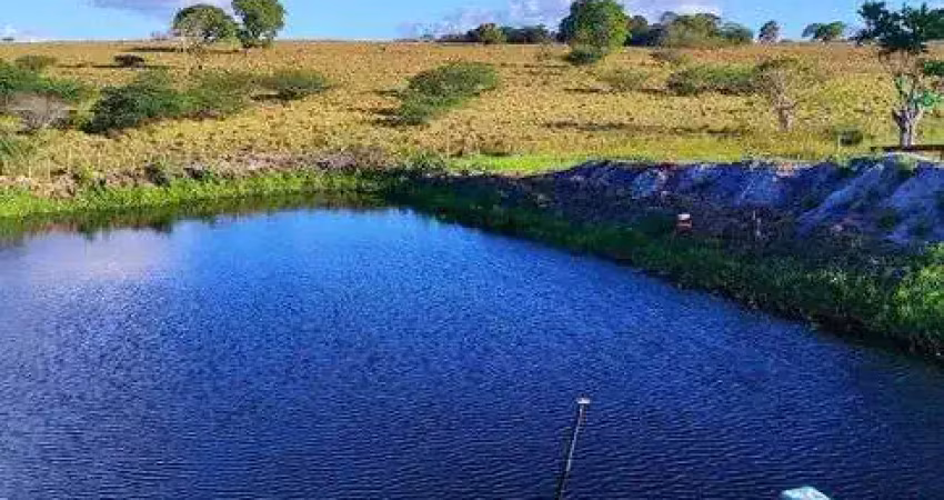 Fazenda com 2.6 hectares bem estruturada de porteira fechada