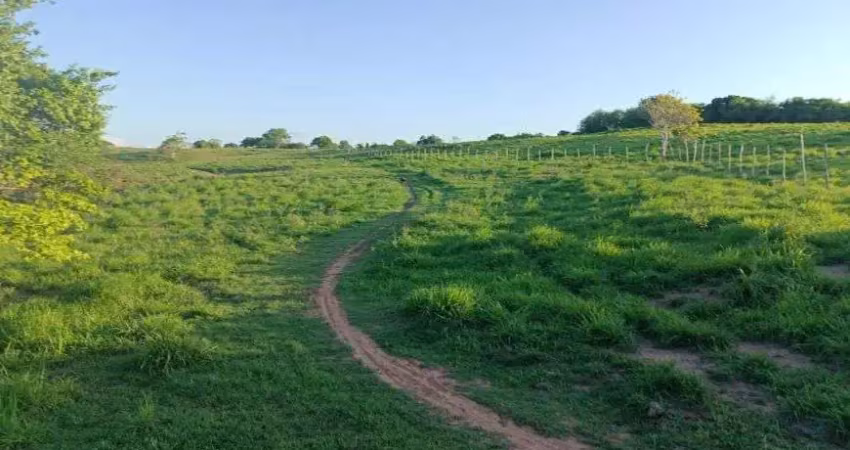 Granja com 20 hectares em monte alegre no distrito de comum cortada apelo rio e plantada